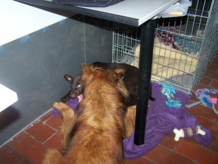 14-11-2010 Spelen met Kaja