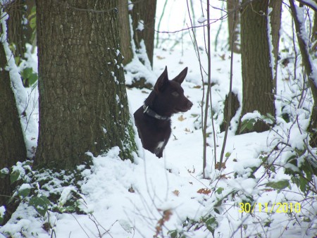30-11-2010 door dat witte spul val ik wel beter op