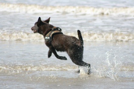 10-04-2011 spike aan zee