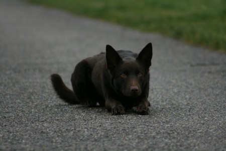 Spike  23-12-2011