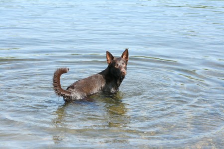 27-05-2012...Ik durf best wel ver vindt ik.