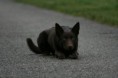 /album/fotogallerij/img-4491-jpg/
