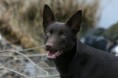 /album/fotogallerij/img-4522-jpg/