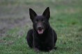 /album/fotogallerij/img-4549-jpg1/