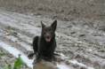 /album/fotogallerij/img-4582-jpg/