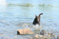 /album/fotogallerij/img-0015-jpg/