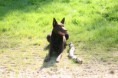 /album/fotogallerij/img-0051-jpg/