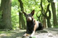 /album/fotogallerij/img-0116-jpg/