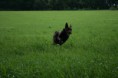 /album/fotogallerij/img-0146-jpg/