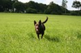 /album/fotogallerij/img-0156-jpg/