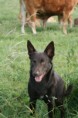 /album/fotogallerij/img-0168-jpg/