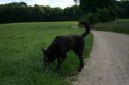 /album/fotogallerij/img-0196-jpg/