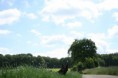 /album/fotogallerij/img-0200-jpg/