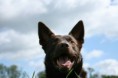 /album/fotogallerij/img-0204-jpg/
