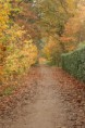 /album/fotogallerij/img-22-jpg/