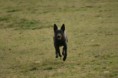 /album/fotogallerij/img-48-jpg/